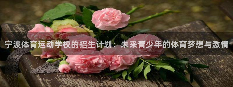 海南利记官网下载：宁波体育运动学校的招生计划：未来青