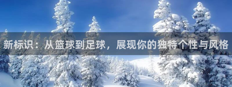 利记官网下载招商电话是多少啊：新标识：从篮球到足球，