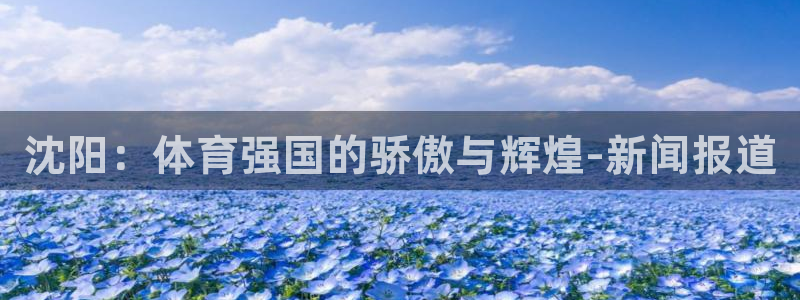 利记官方正版app娱乐：沈阳：体育强国的骄傲与辉煌-