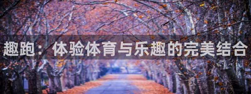 利记官方正版app集团E.ON：趣跑：体验体育与乐趣