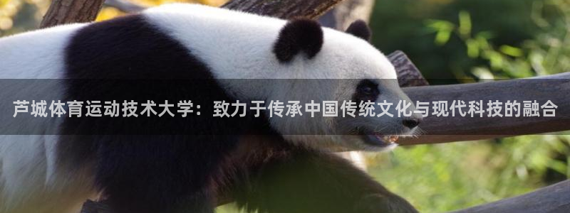 利记官方正版app新能源：芦城体育运动技术大学：致力于传承中