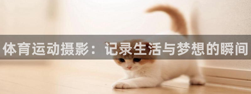 利记官网下载平台注册：体育运动摄影：记录生活与梦想的