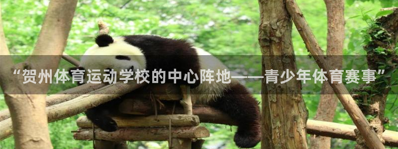 利记官方正版app官网