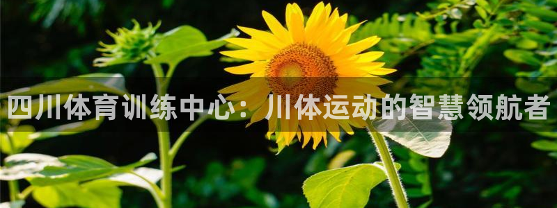 利记官方正版app娱乐平台