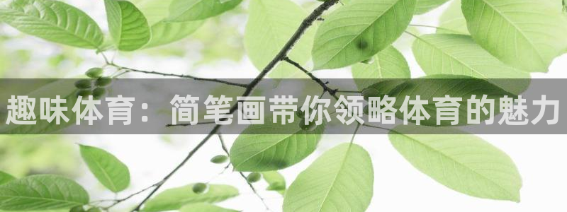 利记官方正版app集团E.ON：趣味体育：简笔画带你领略体育