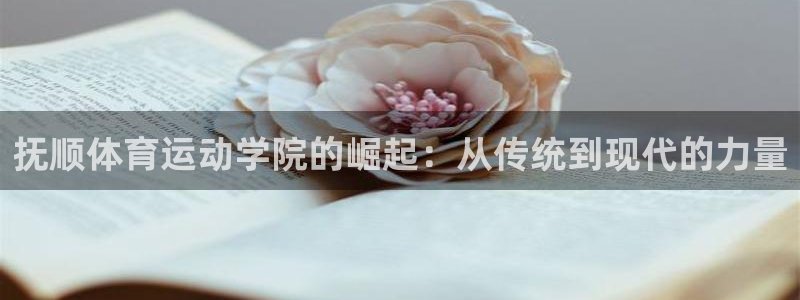 海南利记官网下载：抚顺体育运动学院的崛起：从传统到现代的力量