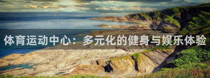 利记官方正版app娱乐首页官网下载：体育运动中心：多元化的健