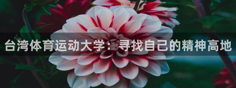 利记官网下载平台假的吗是真的吗：台湾体育运动大学：寻