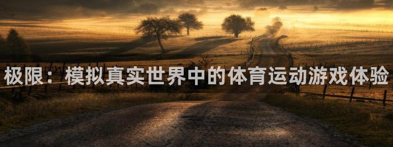利记官网下载软件：极限：模拟真实世界中的体育运动游戏体验