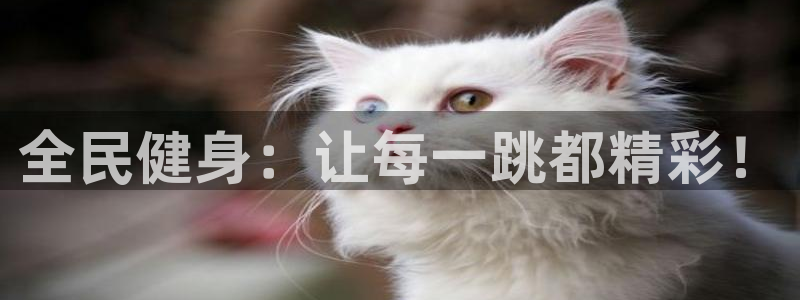 利记官方平台体育