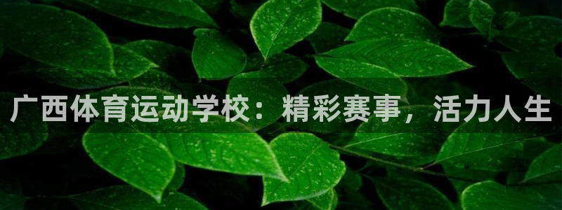 利记官网下载招商电话号码