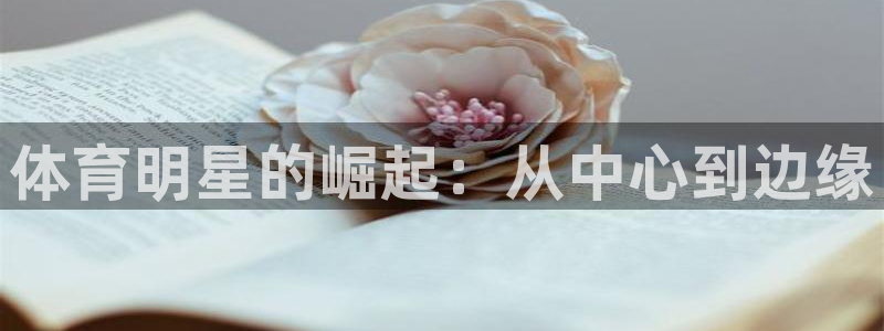 利记官方正版app代理