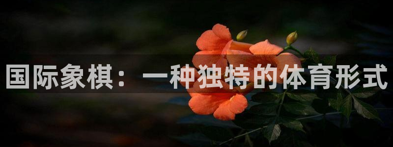 利记官方正版app集团：国际象棋：一种独特的体育形式