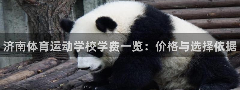  利记sbob欧赔分析：济南体育运动学校学费一览：价格与选择依