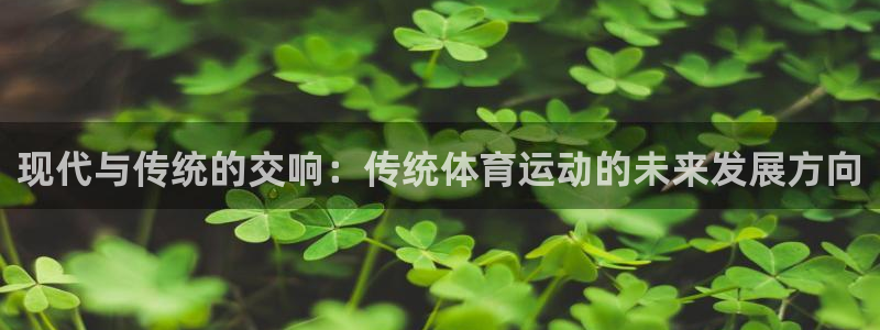 利记体育app：现代与传统的交响：传统体育运动的未来发展方向