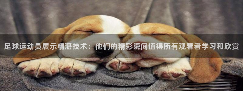 利记体育app：足球运动员展示精湛技术：他们的精彩瞬间值得所