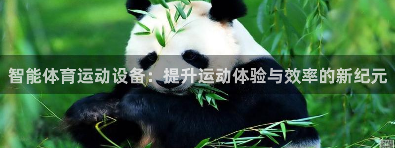 利记手机官网：智能体育运动设备：提升运动体验与效率的新纪元