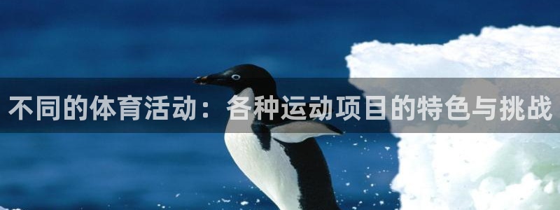  利记注册平台：不同的体育活动：各种运动项目的特色与挑战
