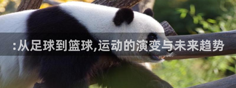 利记官网网址：:从足球到篮球,运动的演变与未来趋势