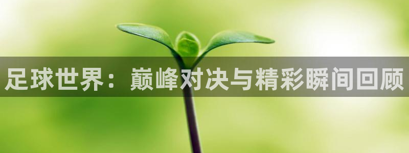 劲爆体育上海直播：足球世界：巅峰对决与精彩瞬间回顾