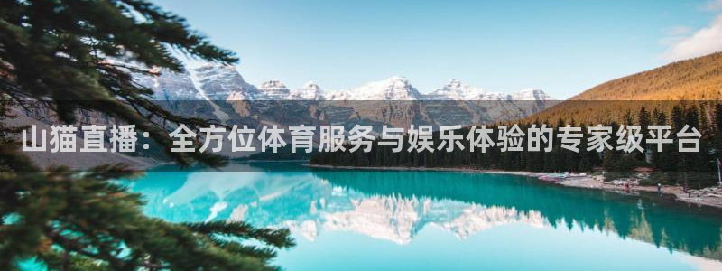 直播吧劲爆体育：山猫直播：全方位体育服务与娱乐体验的专家级平台